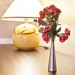 Hotel Efbet